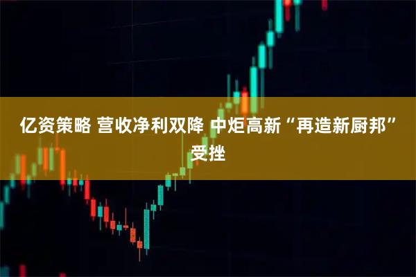 亿资策略 营收净利双降 中炬高新“再造新厨邦”受挫