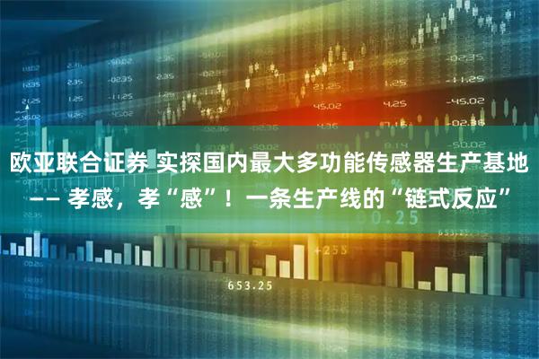 欧亚联合证券 实探国内最大多功能传感器生产基地—— 孝感，孝“感”！一条生产线的“链式反应”