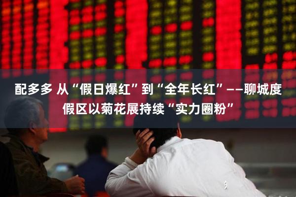 配多多 从“假日爆红”到“全年长红”——聊城度假区以菊花展持续“实力圈粉”