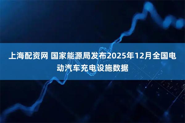 上海配资网 国家能源局发布2025年12月全国电动汽车充电设施数据
