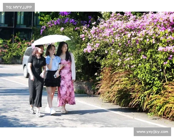 花园公司攻略,花园公司游戏手机版:花园攻略全揭秘:打造你的绿洲天堂 花园公司攻略,花园公司游戏手机版:花园攻略全揭秘:打造你的绿洲天堂